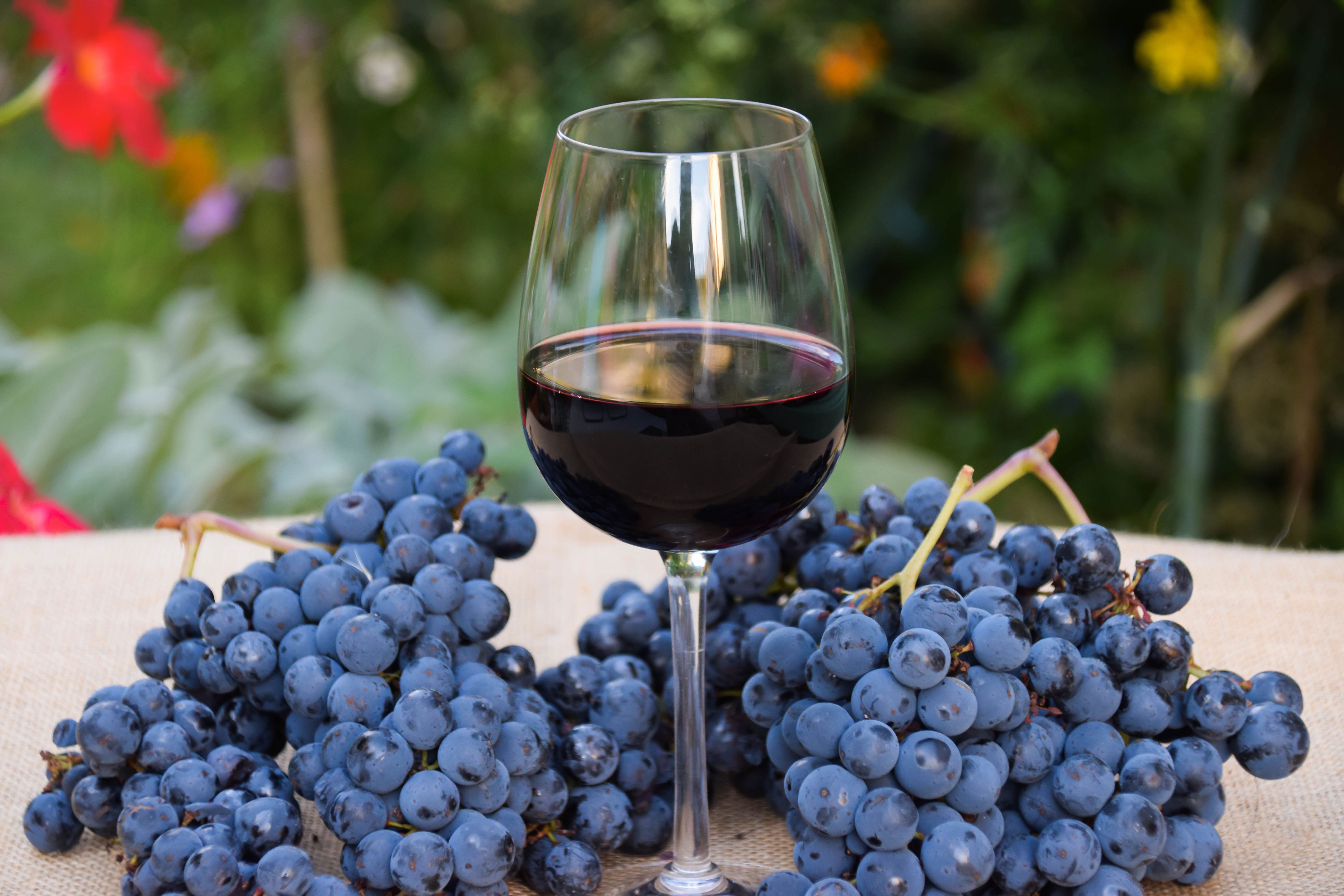 What-is-malbec-c8b51f8.jpg